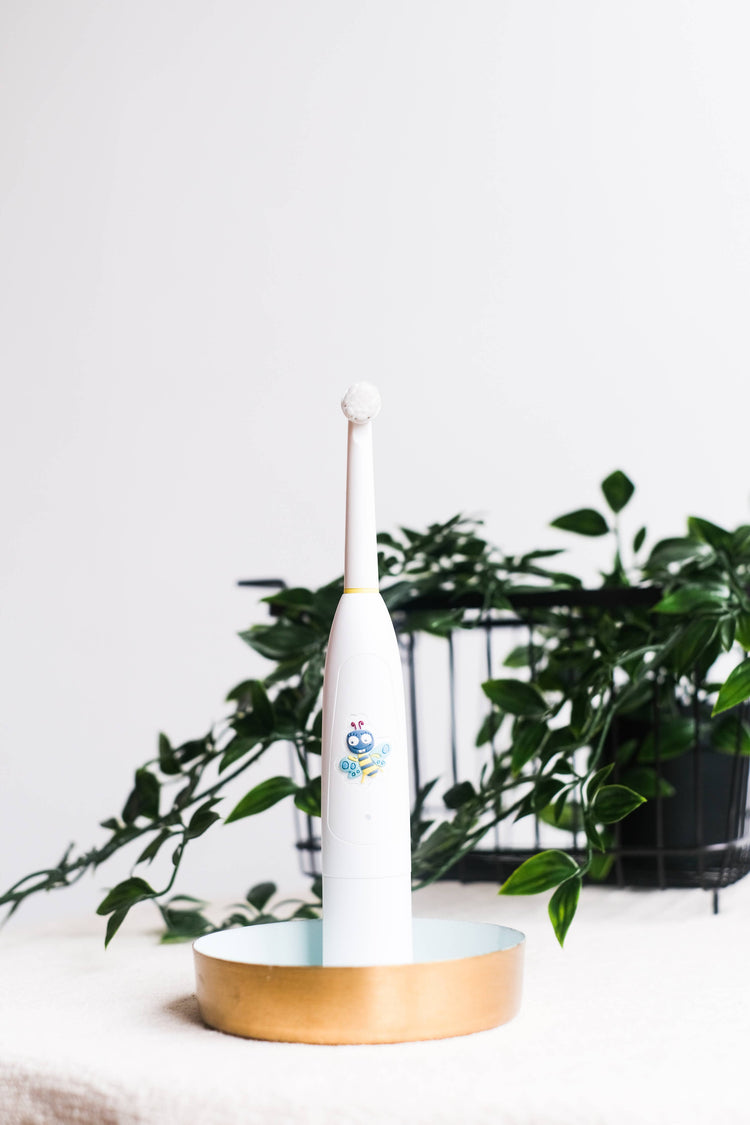 Kids Electric Musical Toothbrush Buzzy Brush (3+ yrs)