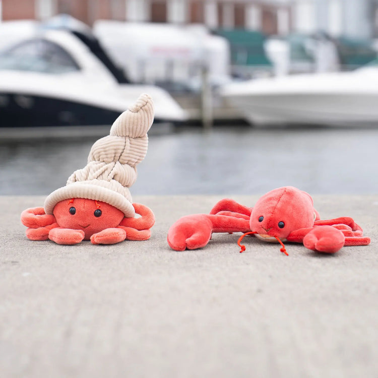 Hermit The Crab
