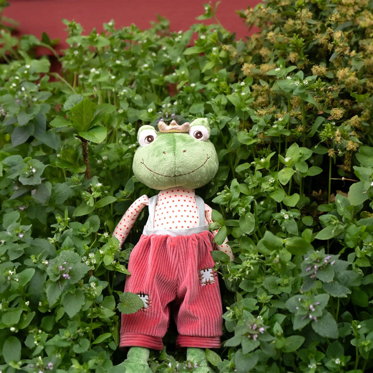 Prince Frog