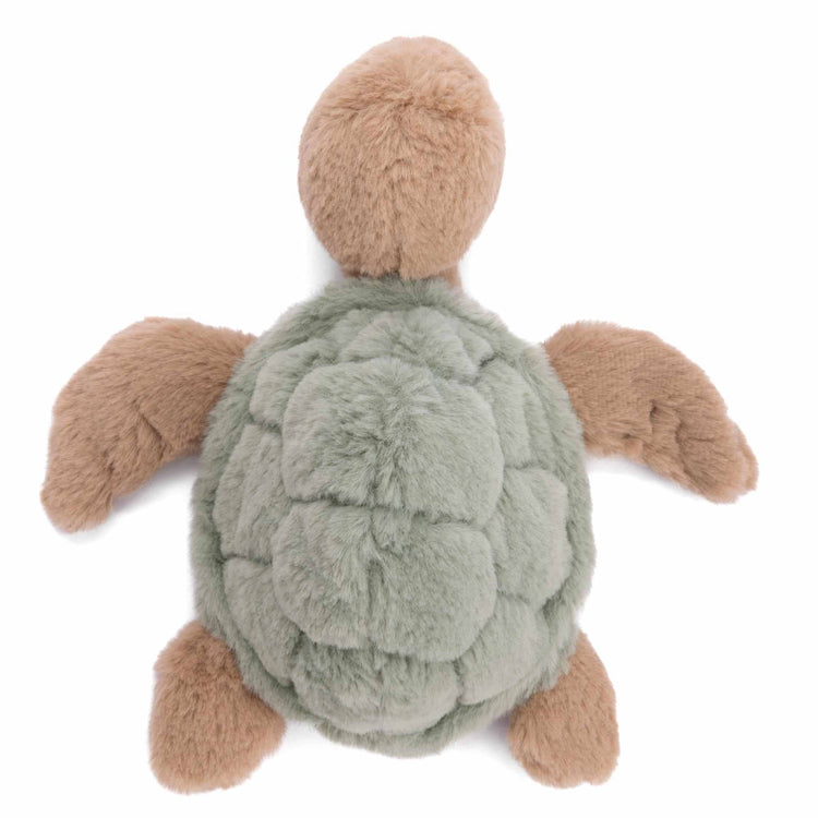 Baby Sandy - Plush Green Turtle