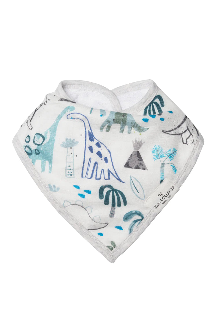 LLL Bandana Bib Set
