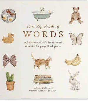 Our Big Book of Words