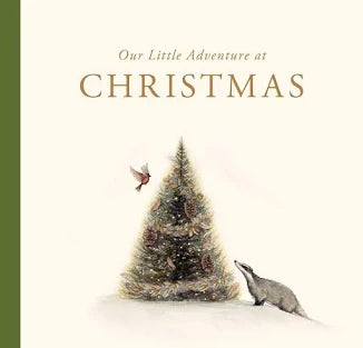Our Little Adventure at Christmas